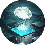 Brain